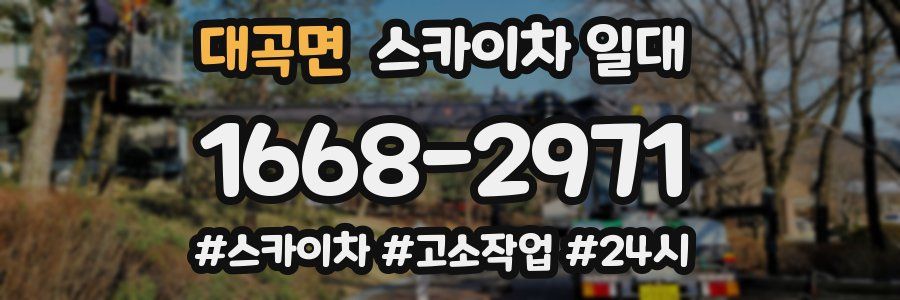 대곡면 스카이차 일대