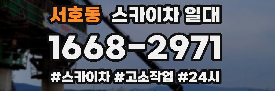 서호동 스카이차 일대