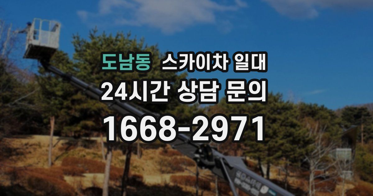 도남동 스카이차 일대