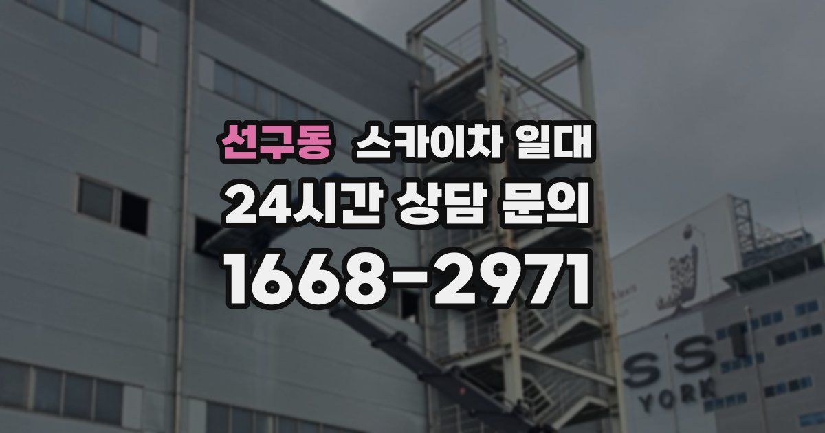 선구동 스카이차 일대