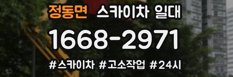 정동면 스카이차 일대