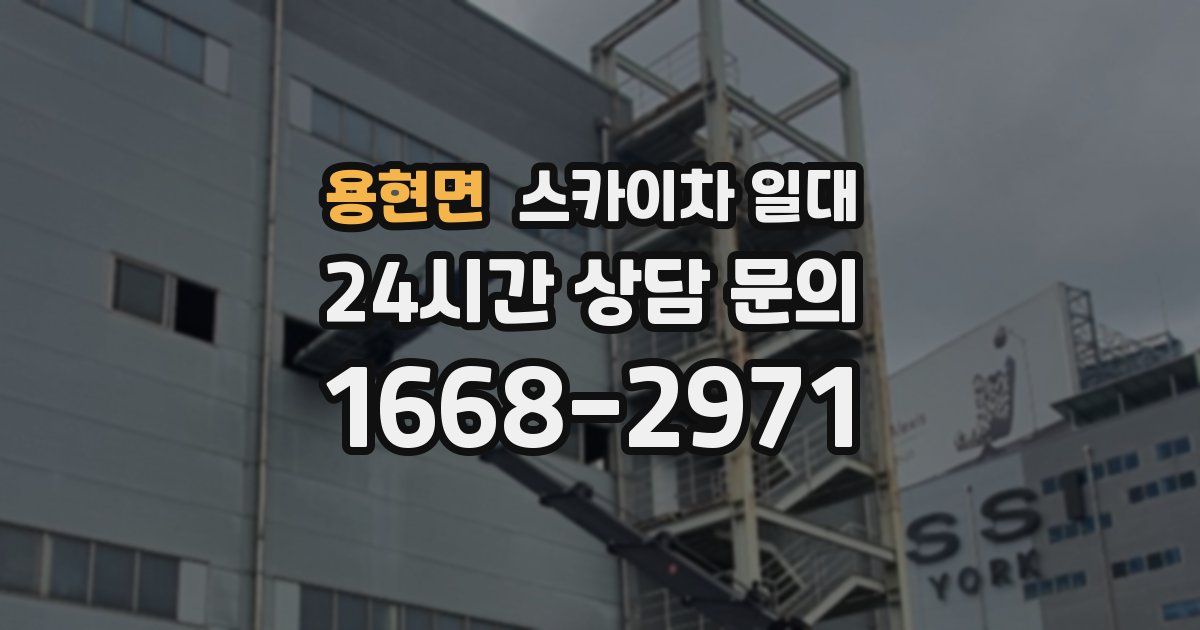 용현면 스카이차 일대