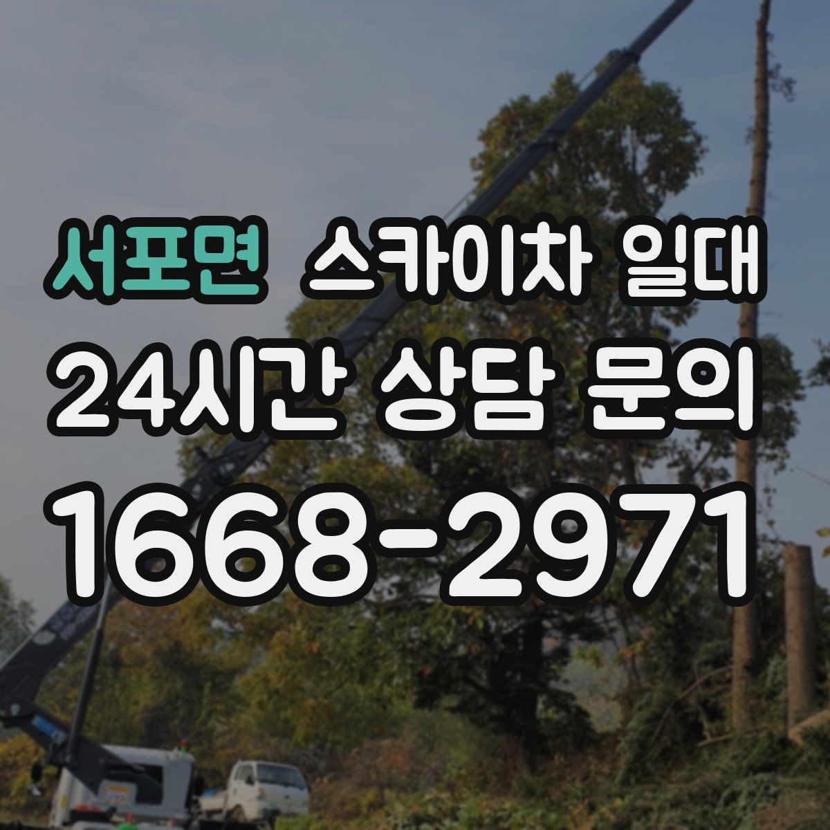 서포면 스카이차 일대