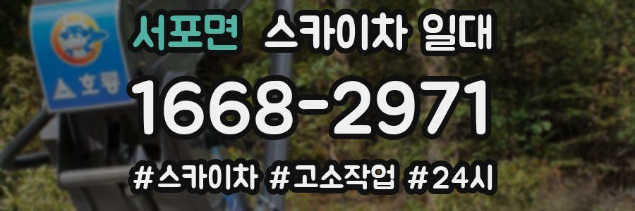 서포면 스카이차 일대