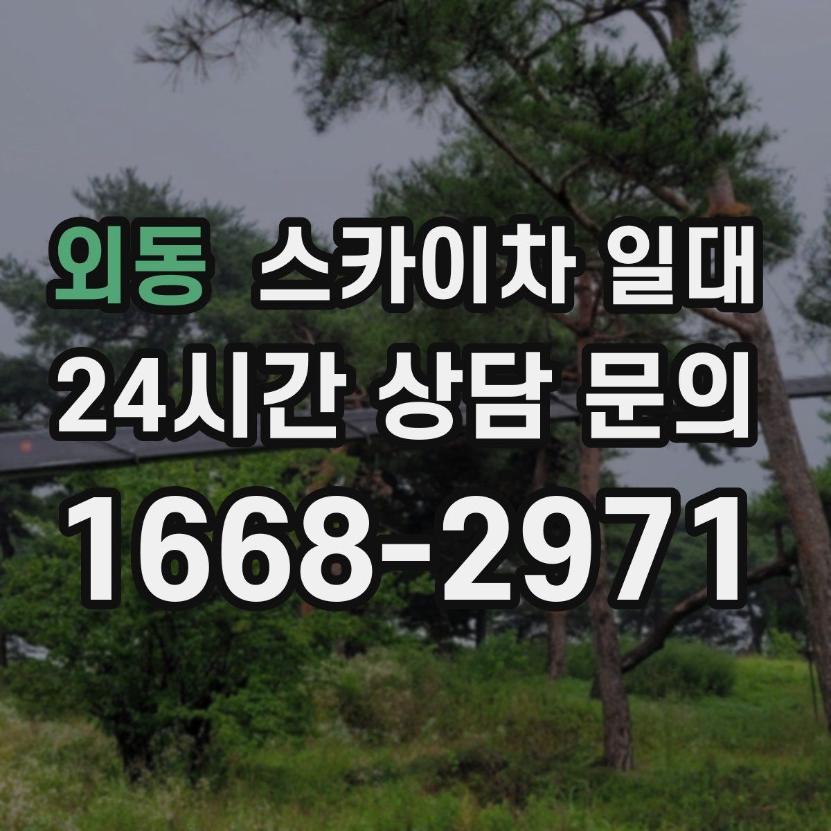외동 스카이차 일대 현장 접근성이 중요한 이유