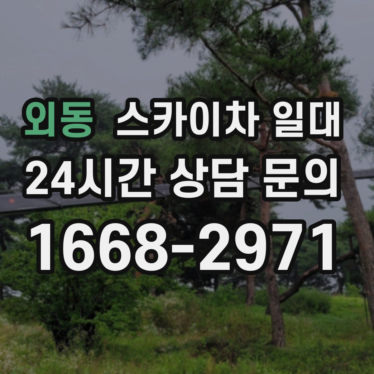 외동 스카이차 일대