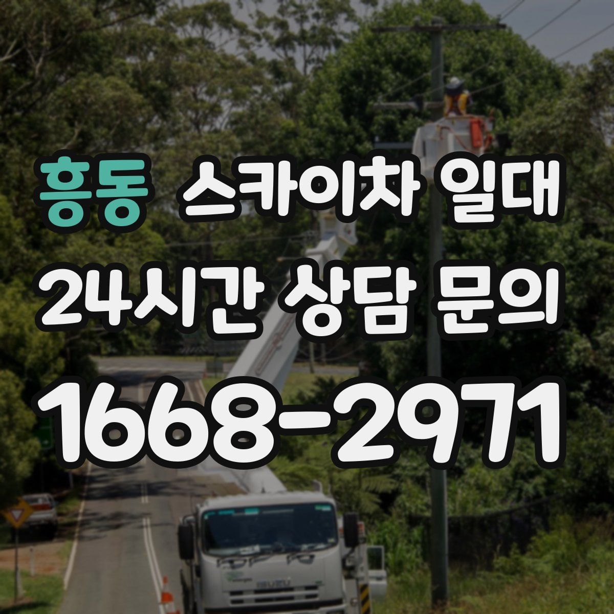 흥동 스카이차 일대
