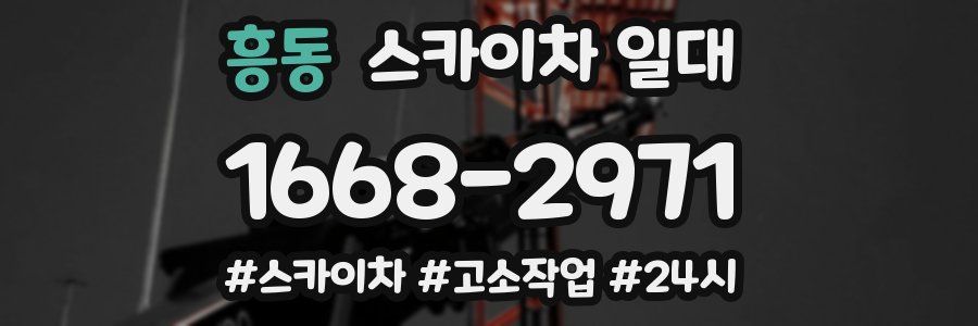 흥동 스카이차 일대