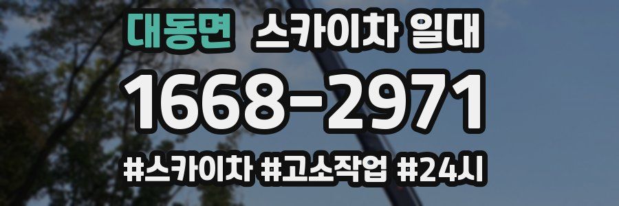 대동면 스카이차 일대