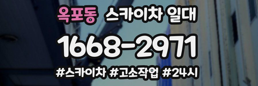 옥포동 스카이차 일대