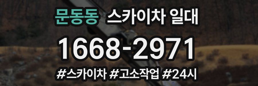 문동동 스카이차 일대