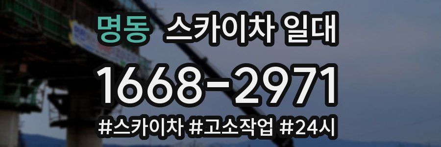 명동 스카이차 일대