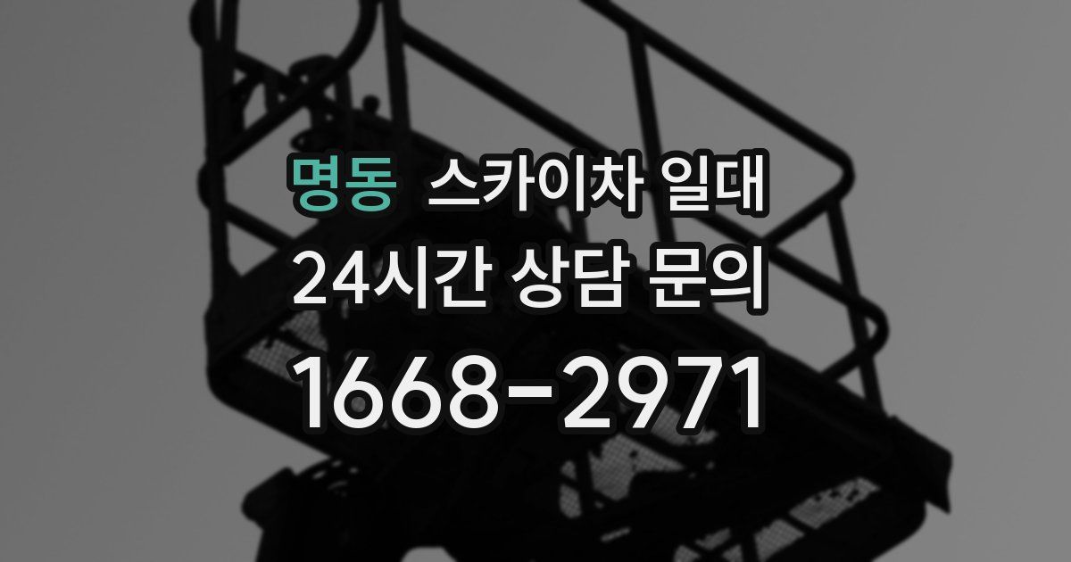 명동 스카이차 일대