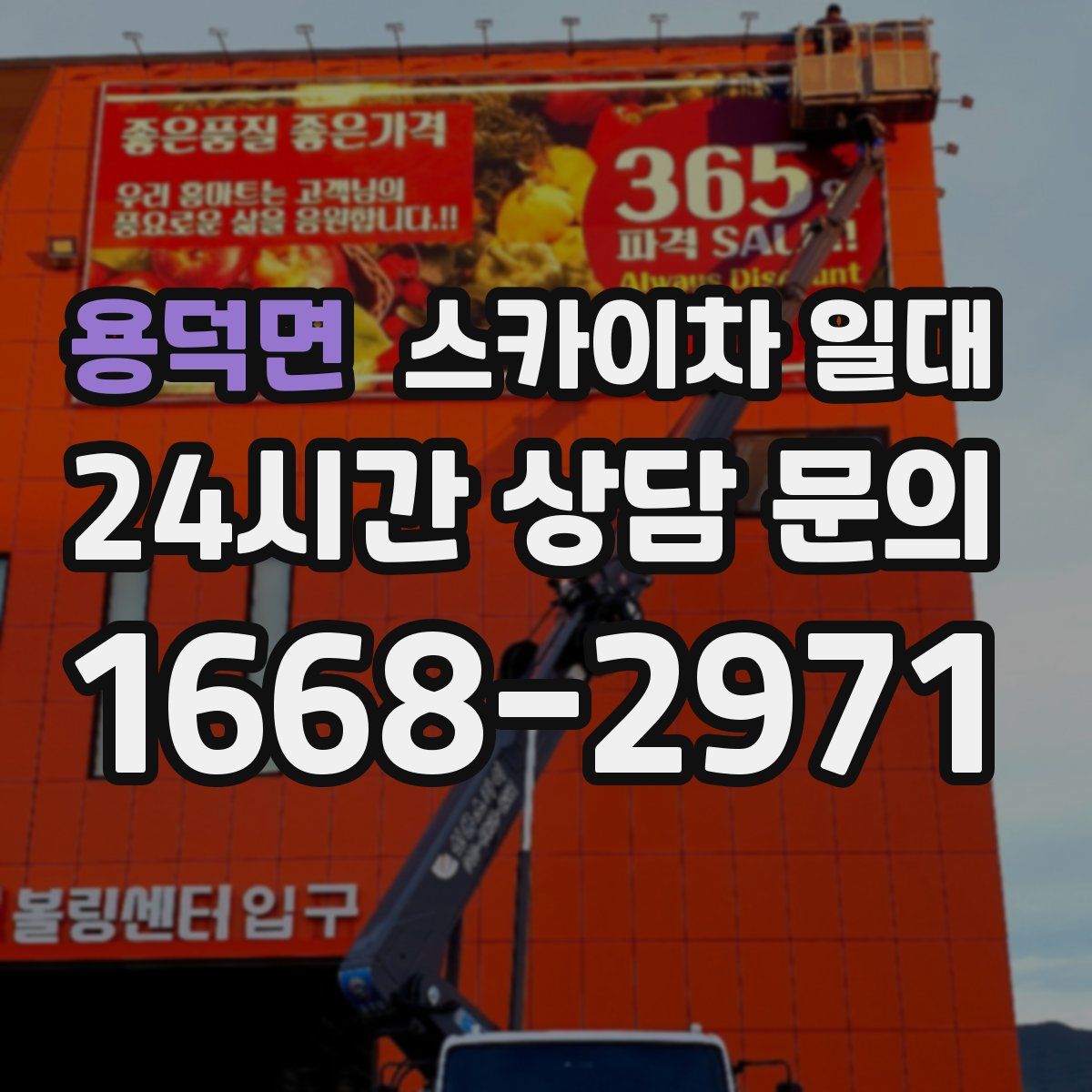용덕면 스카이차 일대