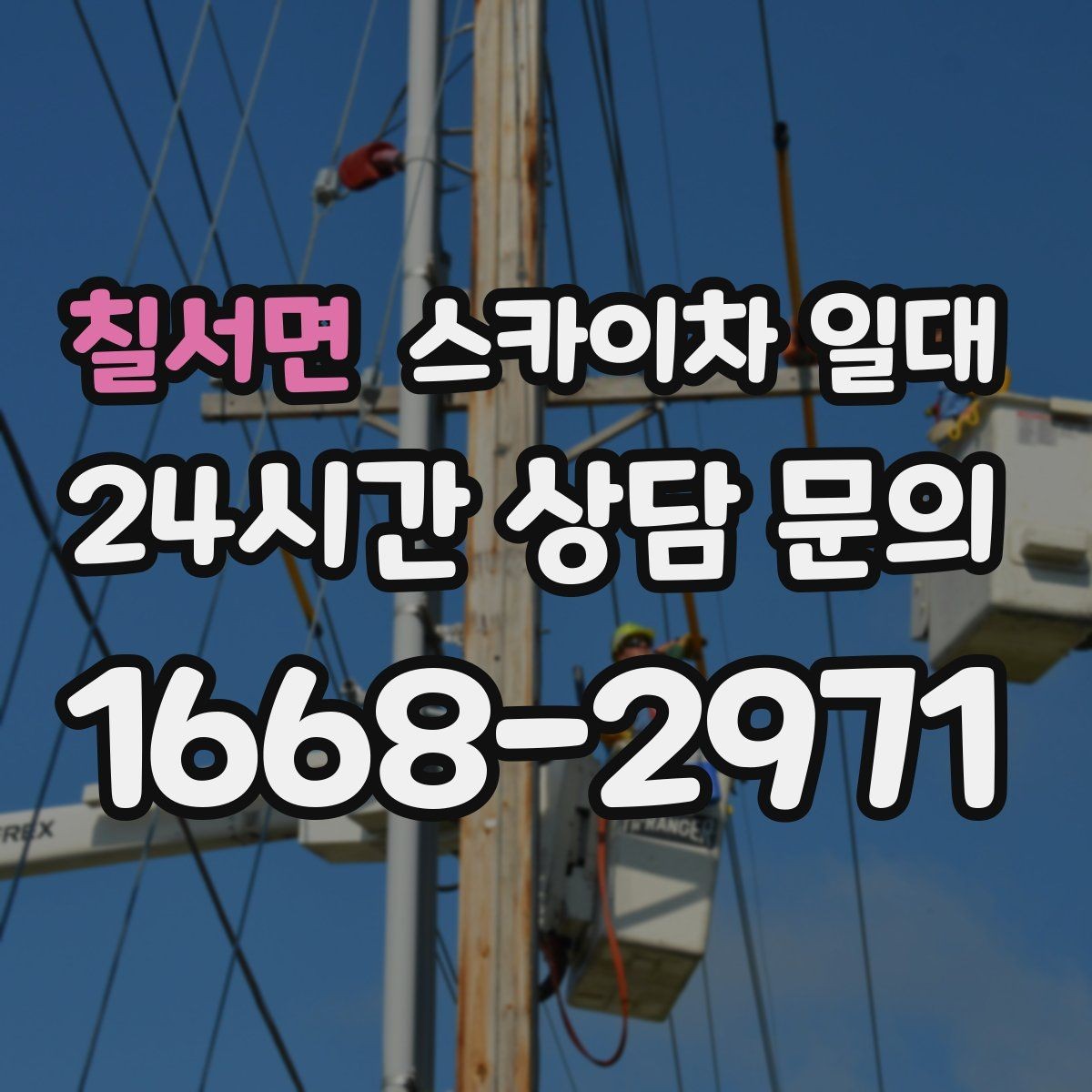 칠서면 스카이차 일대 업체 선택 전에 비교할 항목