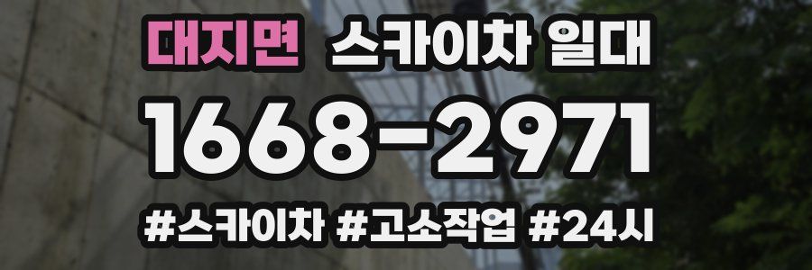 대지면 스카이차 일대