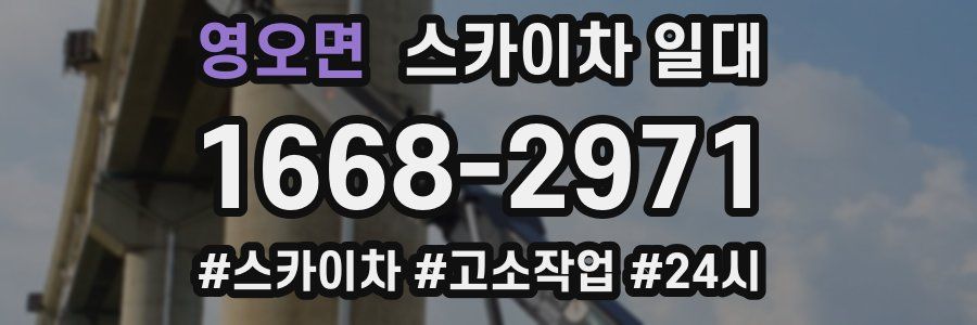영오면 스카이차 일대