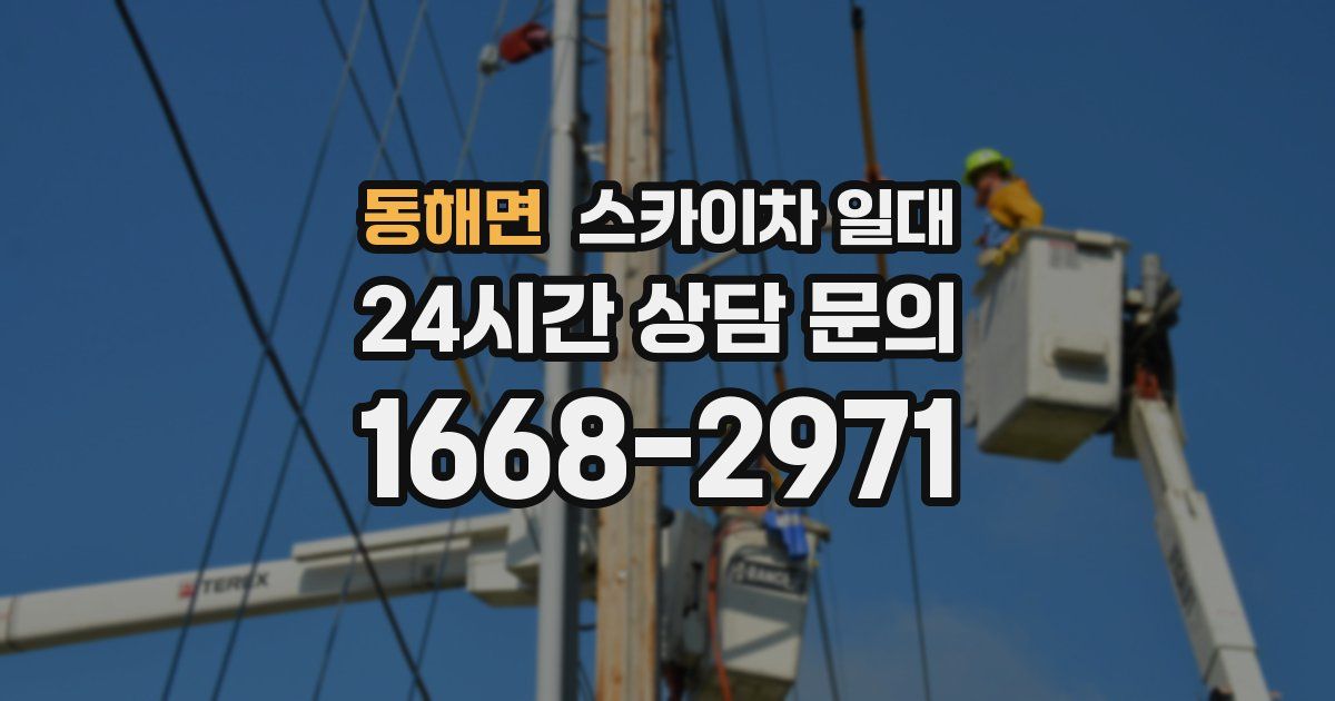 동해면 스카이차 일대