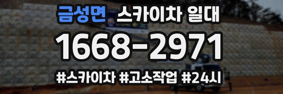 금성면 스카이차 일대