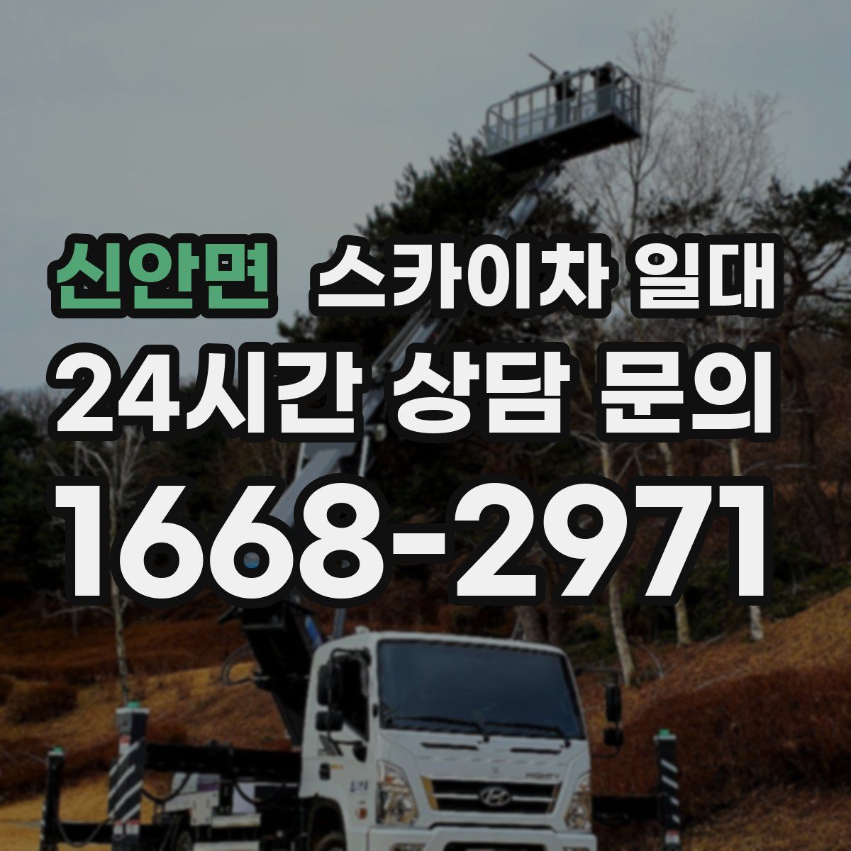 신안면 스카이차 일대