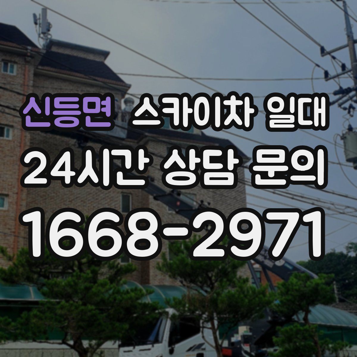 신등면 스카이차 일대