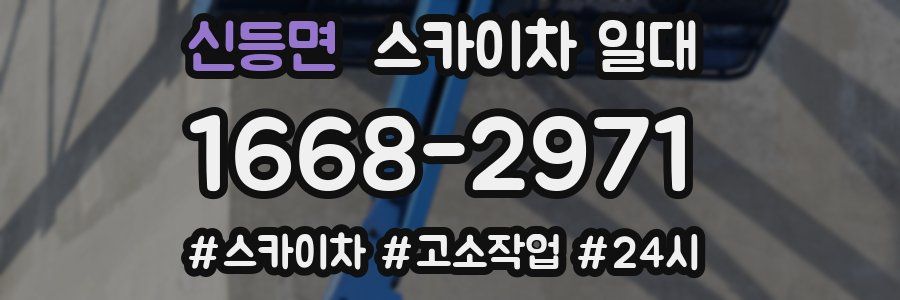 신등면 스카이차 일대