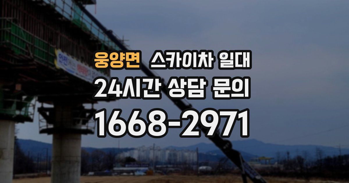 웅양면 스카이차 일대