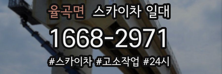 율곡면 스카이차 일대