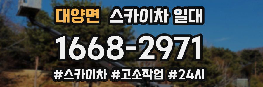 대양면 스카이차 일대
