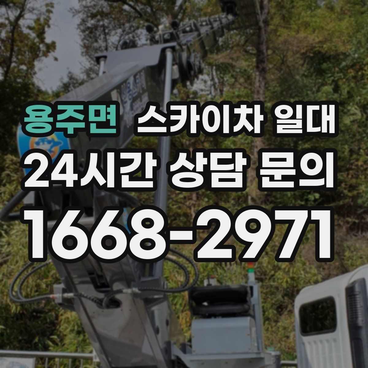 용주면 스카이차 일대