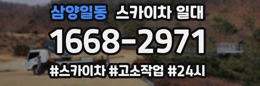 삼양일동 스카이차 일대