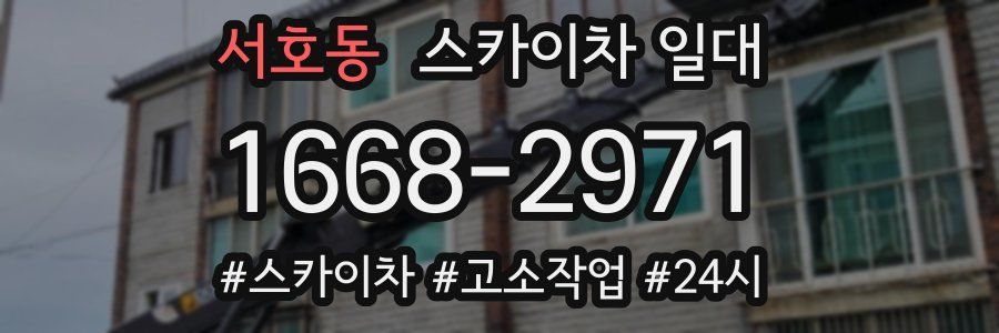 서호동 스카이차 일대