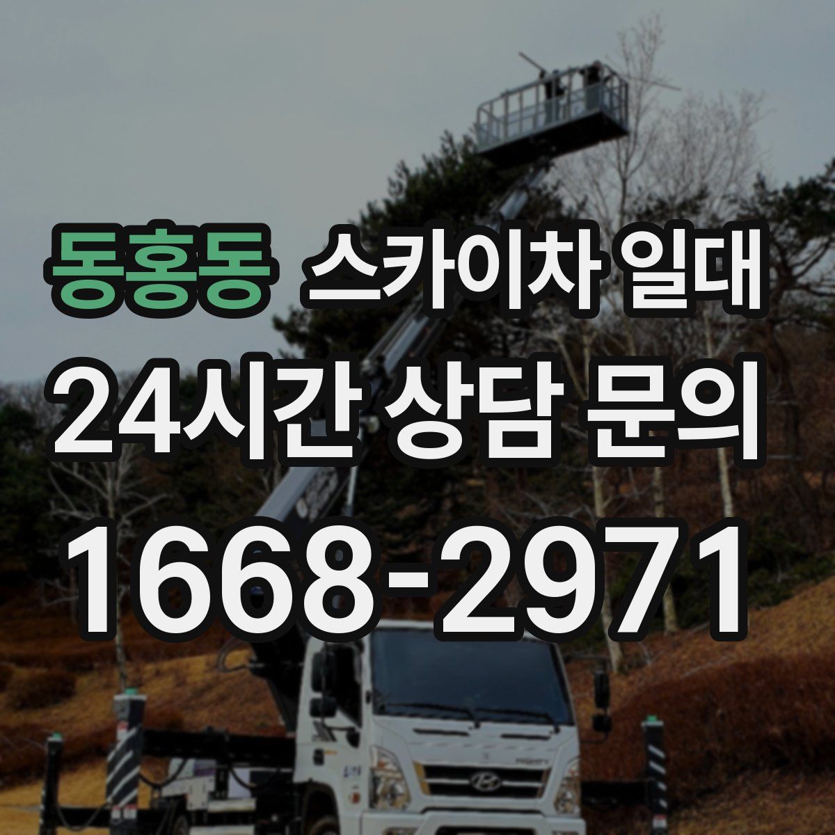 동홍동 스카이차 일대