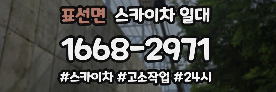 표선면 스카이차 일대