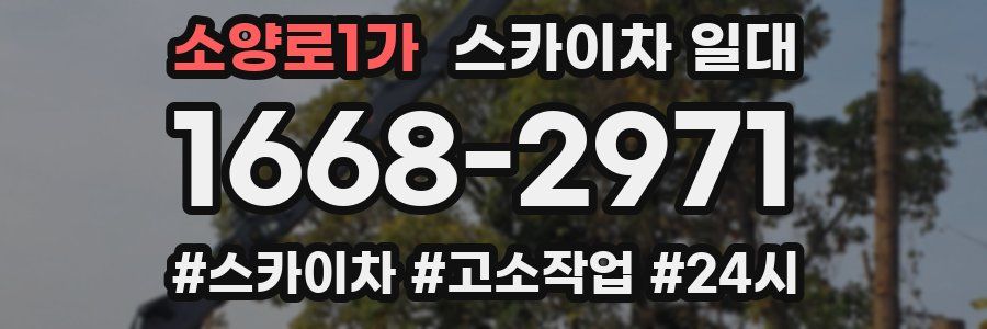 소양로1가 스카이차 일대