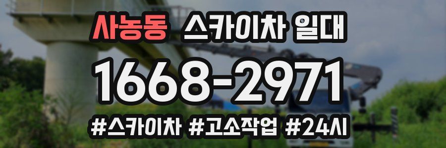 사농동 스카이차 일대