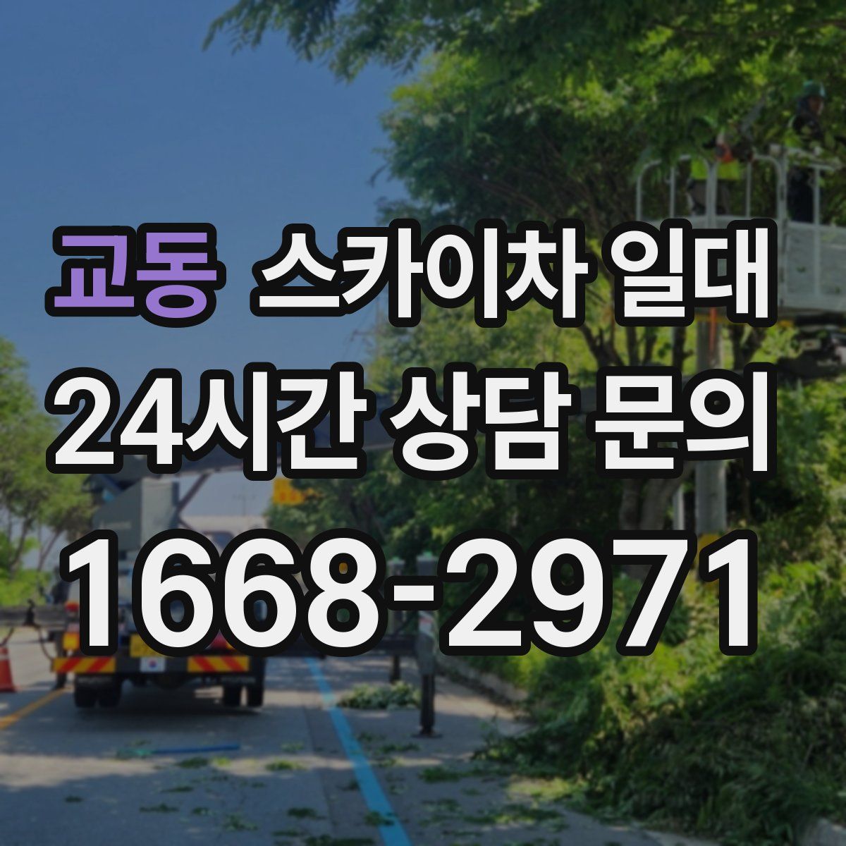 교동 스카이차 일대
