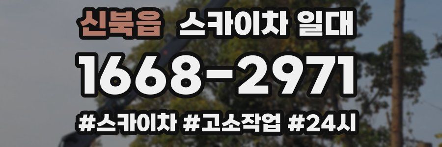신북읍 스카이차 일대