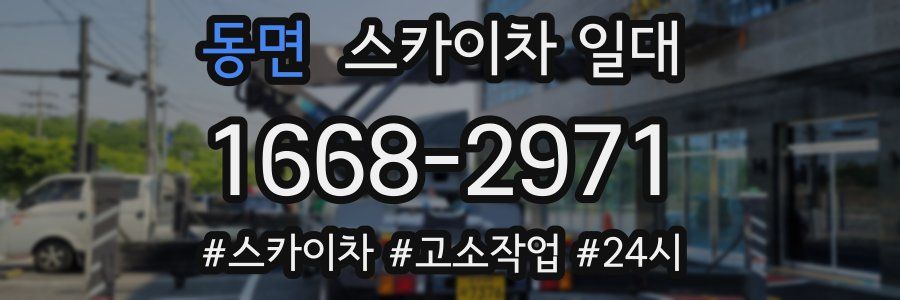 동면 스카이차 일대