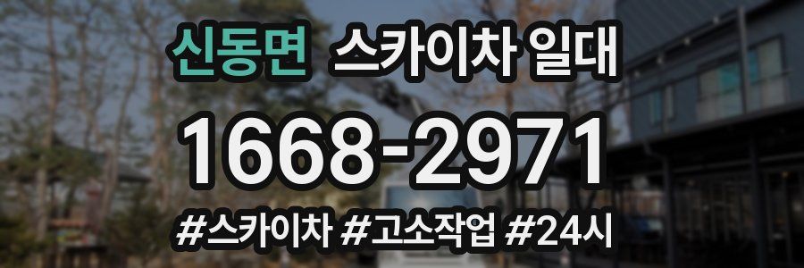 신동면 스카이차 일대