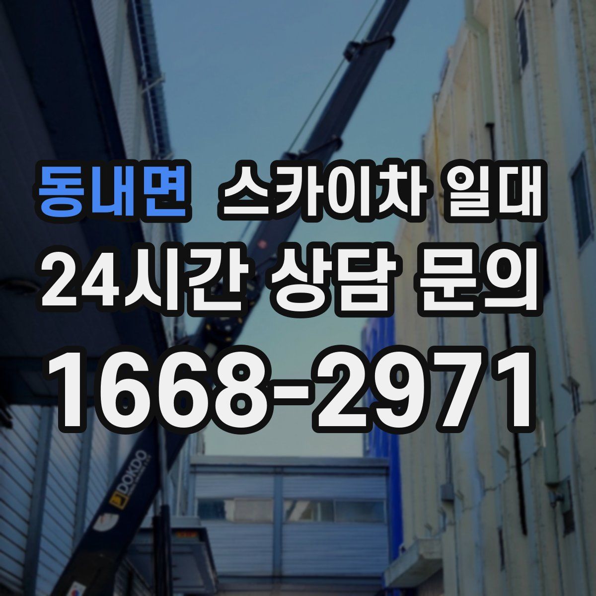 동내면 스카이차 일대