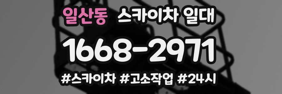 일산동 스카이차 일대