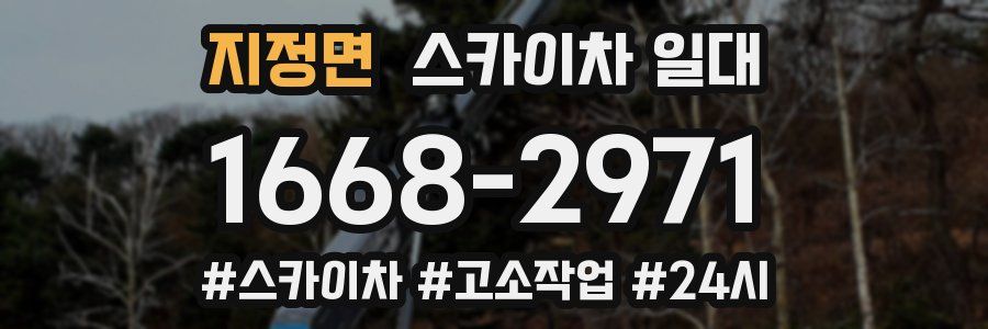 지정면 스카이차 일대