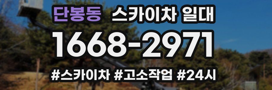 단봉동 스카이차 일대