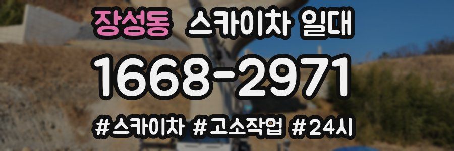 장성동 스카이차 일대