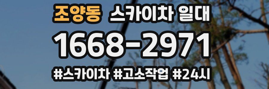 조양동 스카이차 일대