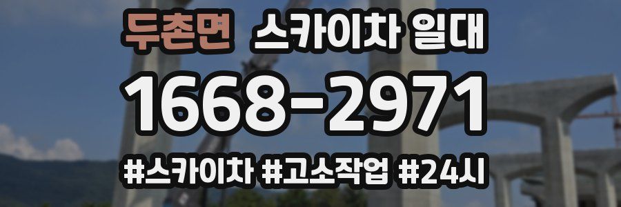 두촌면 스카이차 일대
