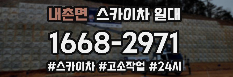 내촌면 스카이차 일대