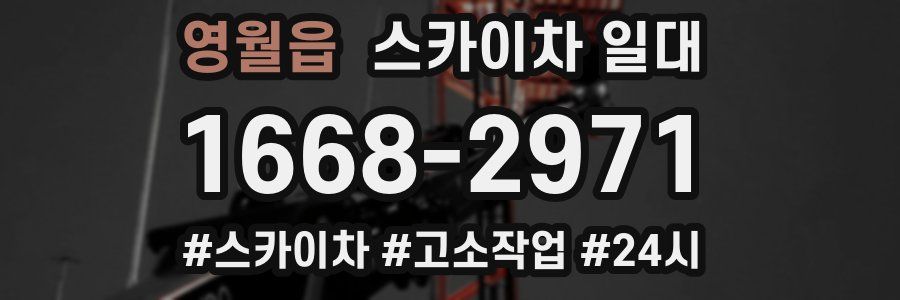 영월읍 스카이차 일대
