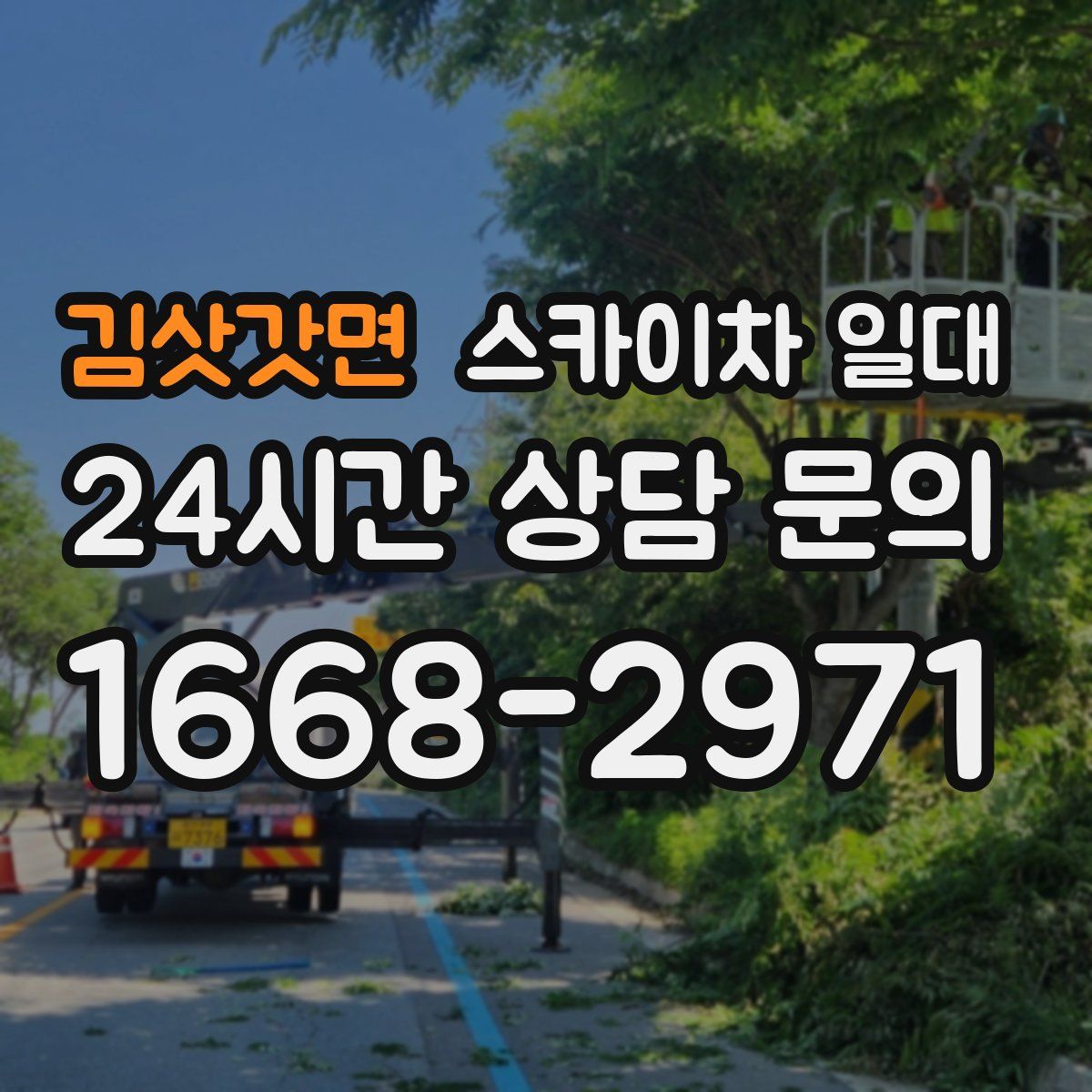 김삿갓면 스카이차 일대